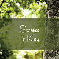 Stress is Key TAK 231 Stress is Key TAK 231